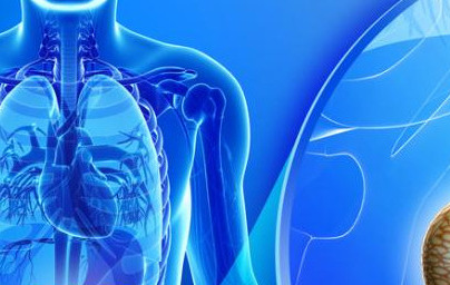 Панкреас Панкреас